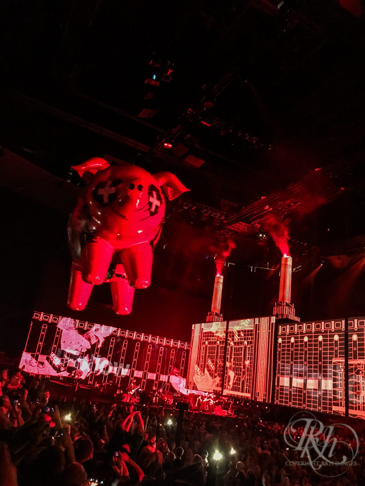 roger waters st paul roger waters st paul